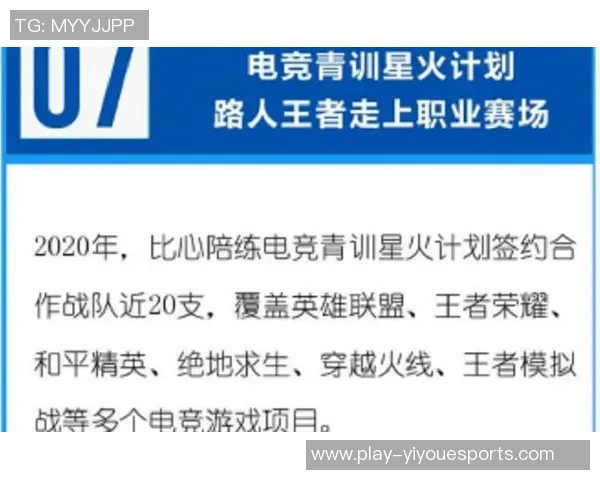 探寻FPX在王者荣耀中的强大力量与战术魅力 探寻FPX在王者荣耀中的强大力量与战术魅力